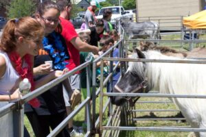 teens and kids at petting zoo at 3rd annual community celebration