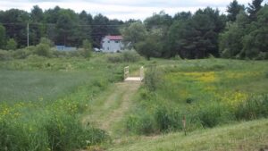 Walking Path in field