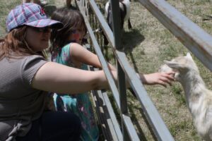 A woman wearing a cap and sunglasses helps a young girl pet a light-colored goat through a metal fence in an outdoor setting. The girl has face paint on her cheek and wears a floral dress. Another goat is visible in the background.