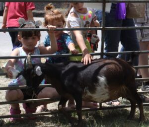Three children pet a small goat through the bars of an animal pen. The children appear excited and intrigued as they interact with the goat. The scene is in an outdoor setting with other people and animals in the background.