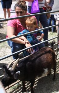 A woman and a small child are crouching next to a fenced enclosure, petting a brown and black goat. The child is holding a cup and looking at the goat. Other people can be seen in the background on a sunny day.