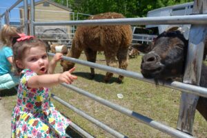A young girl in a colorful dress excitedly points at a goat behind a metal fence. Other animals, including a llama, are in the background within the fenced area. The scene appears to be at an outdoor petting zoo or farm.