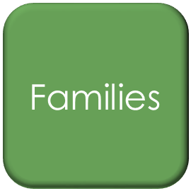 A green, square button with rounded corners has the word "Families" written in white text in the center.